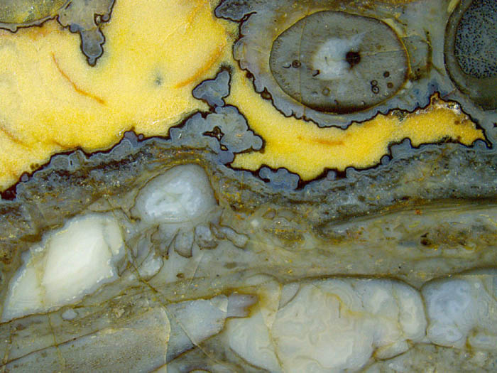 4 types of former cavities in chert