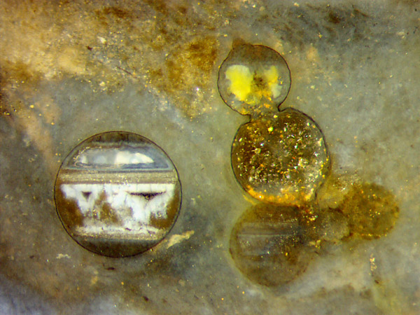 fossil filled spheres