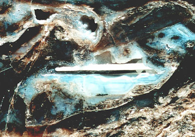 Horizontal chalcedony plate suspended in a cavity in Rhynie chert